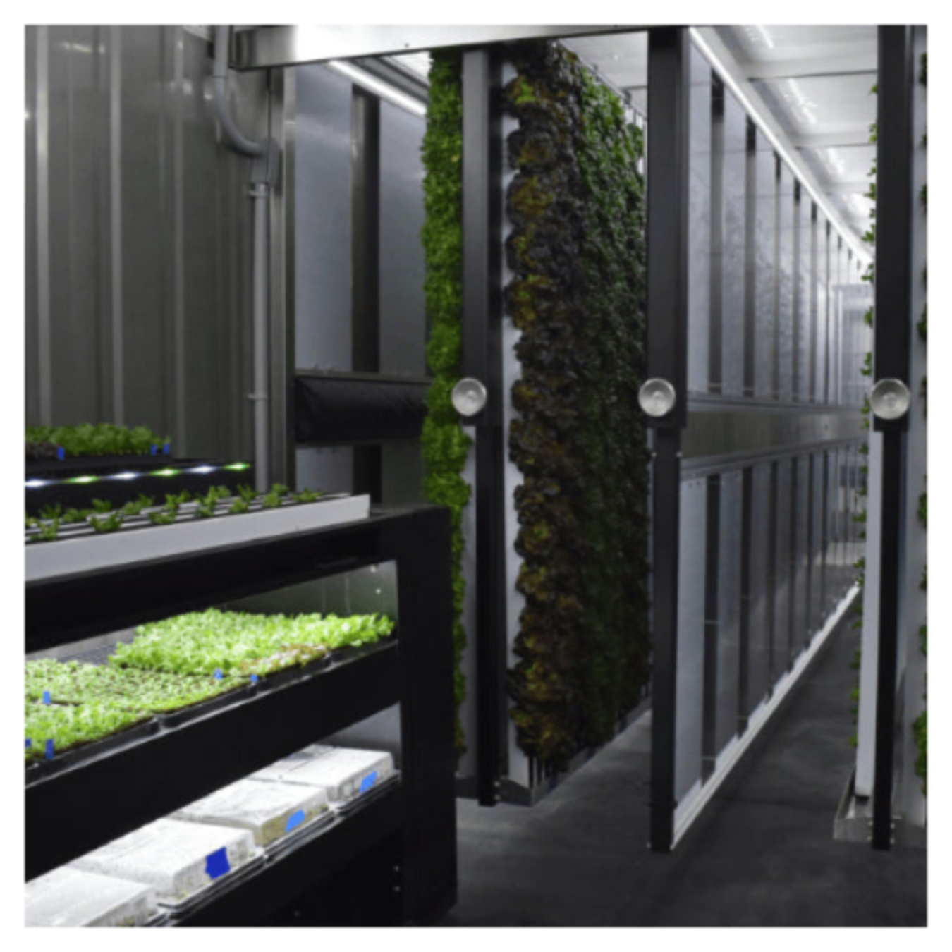 Equipment Essentials