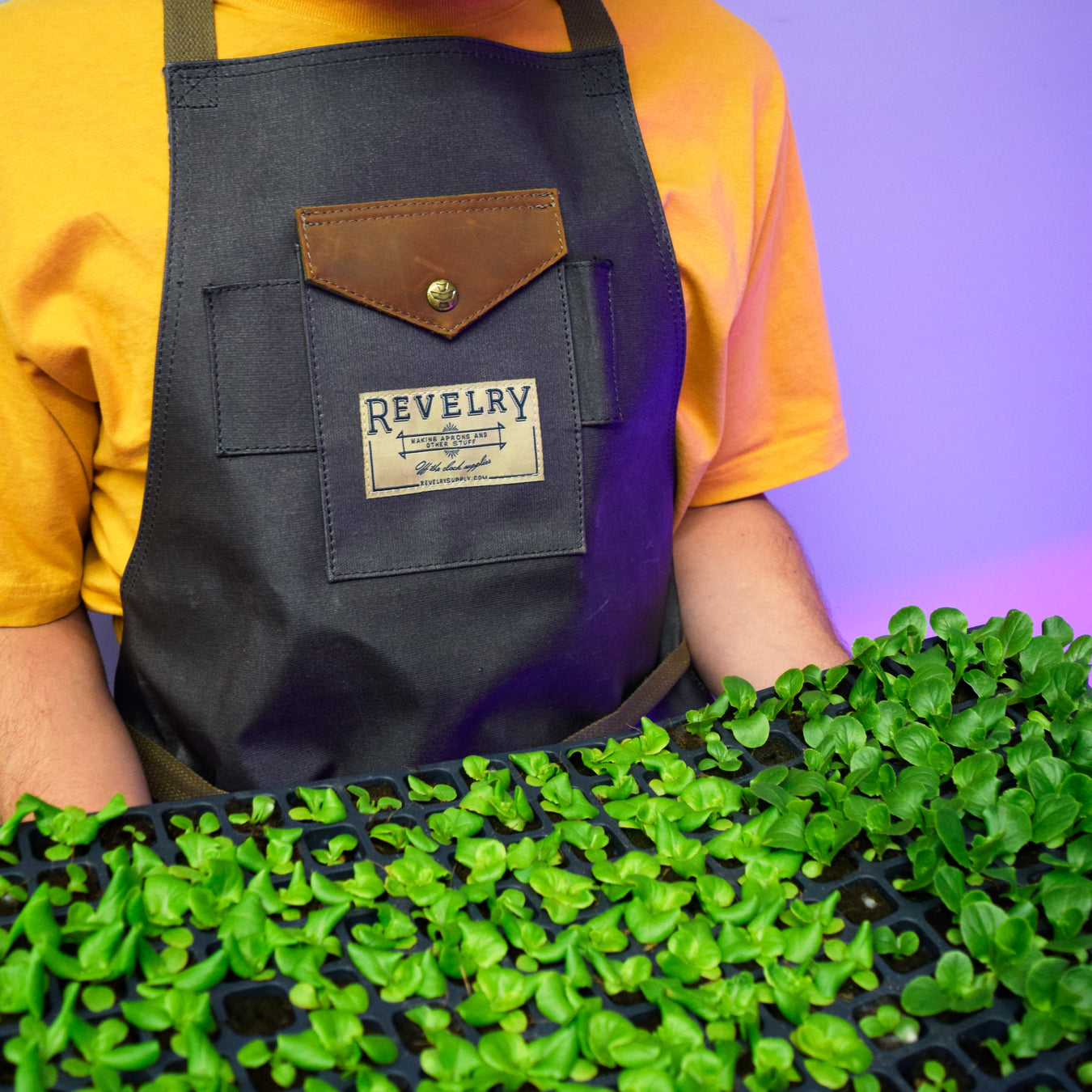 Man in a revelry supply waxed canvas apron holding a tray of seedlings