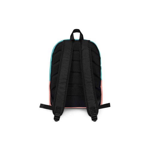 farmhand colorblock backpack back