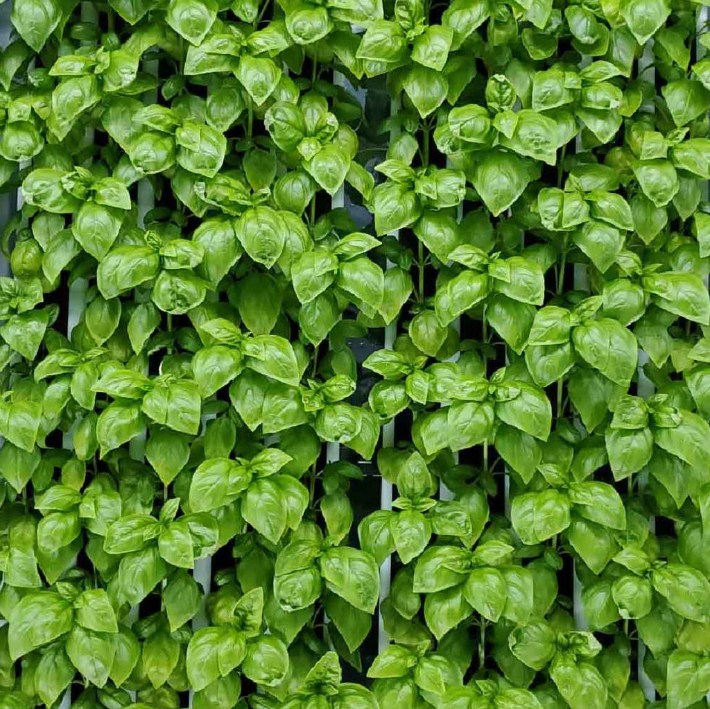 farmhand® form, grow & boost