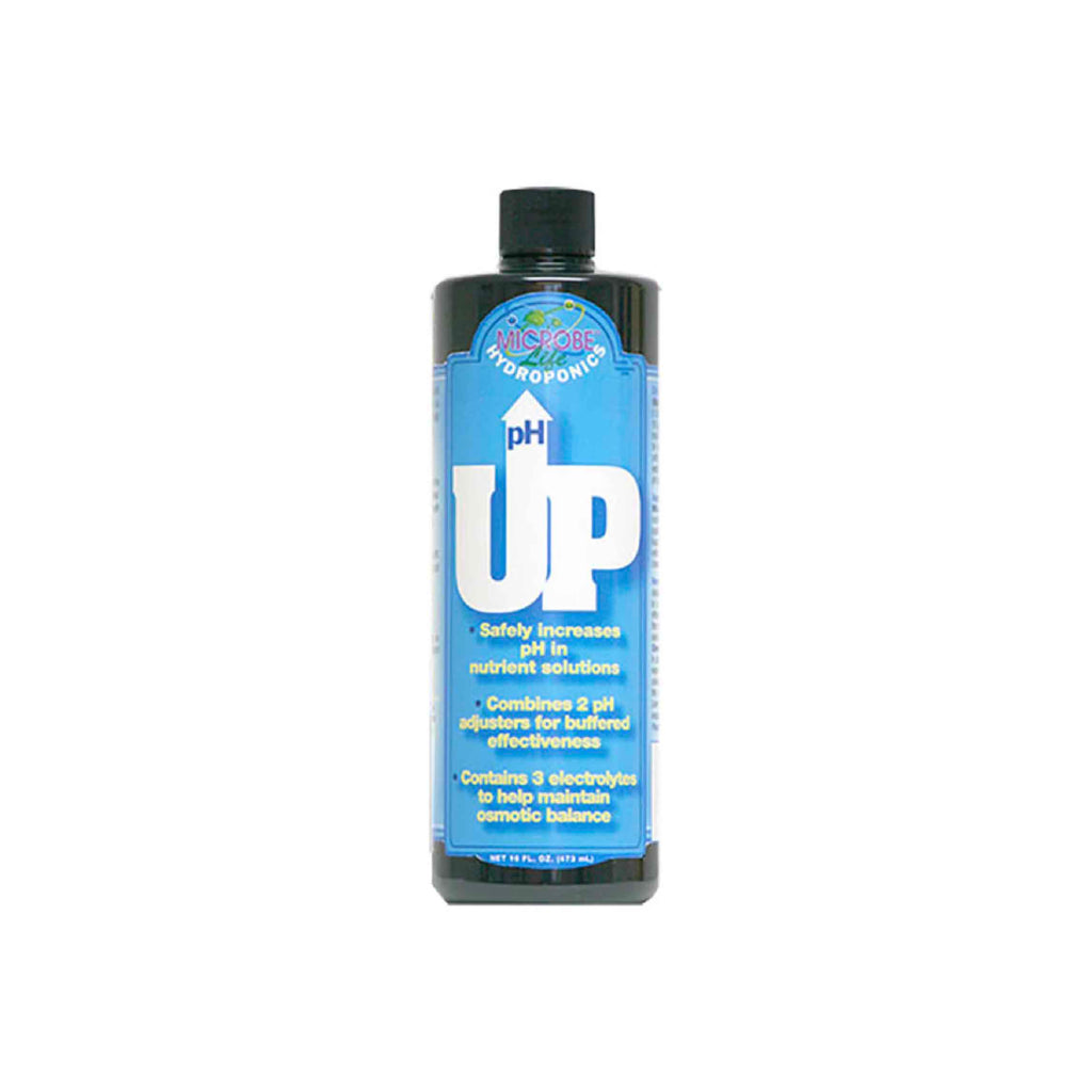 pH up 1 qt