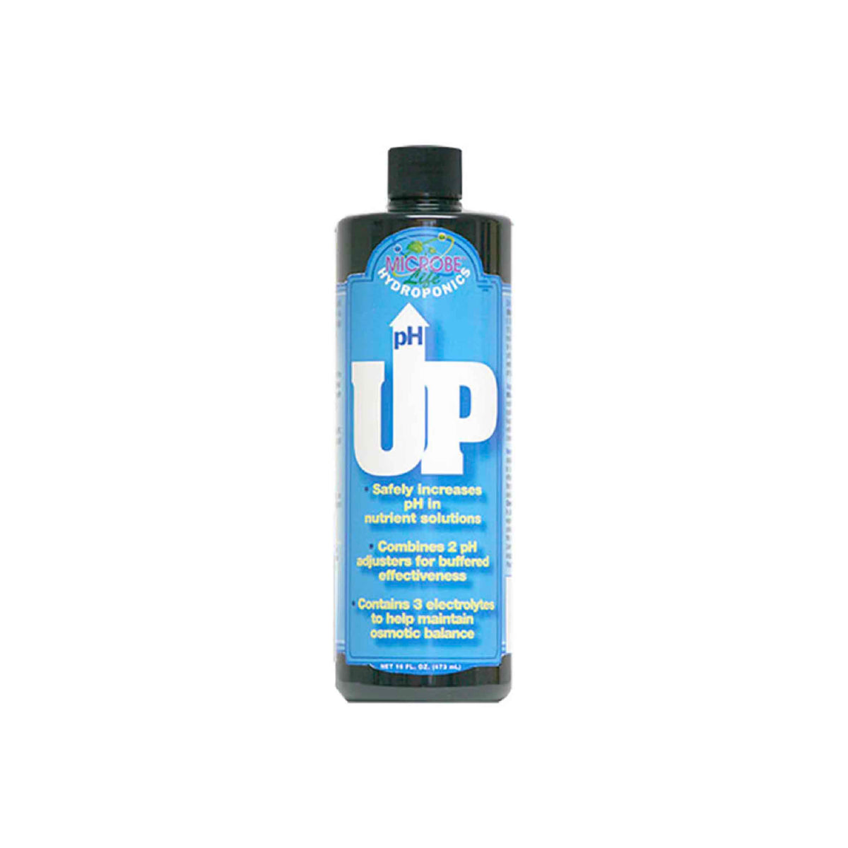 pH up 1 qt